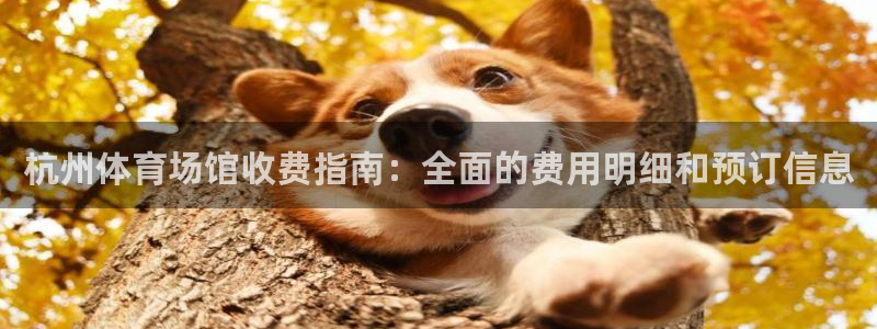 必一体育周公：杭州体