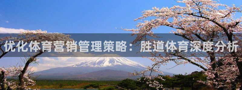b体育必一下载：优化