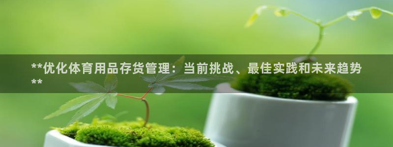 必一体育游戏玩法：*