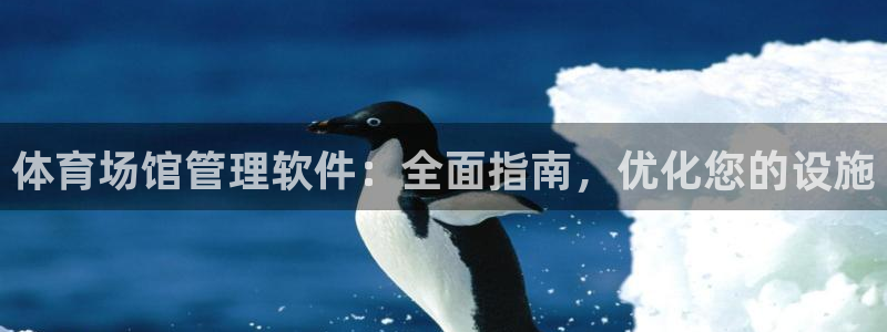 必一体育sport下