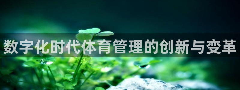 必一体育app下载装