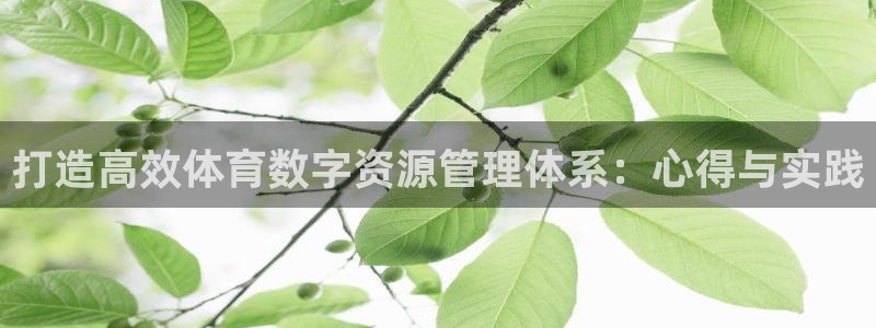 必一运动体育：打造高