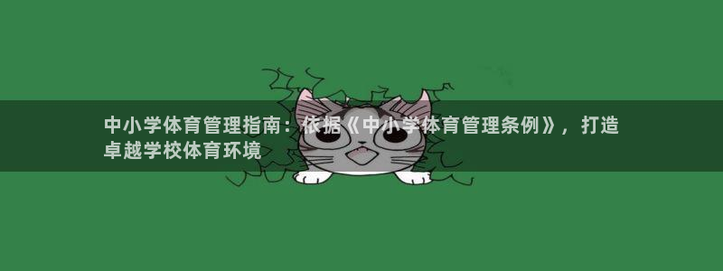 必一体育sportB