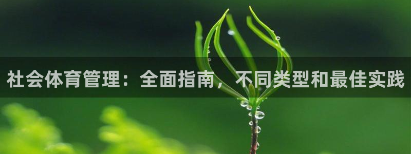 必一体育网页版登录：