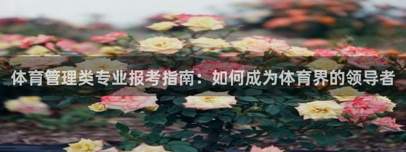必一体育电子app：