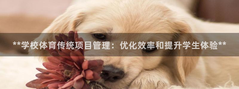 必一体育登录：**学