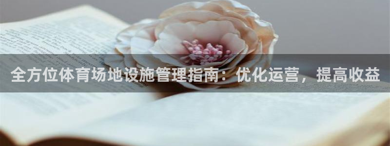 必十二和必一的副作用