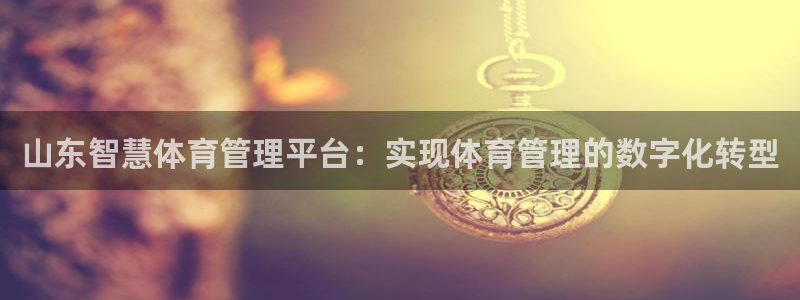 必一体育在线玩：山东