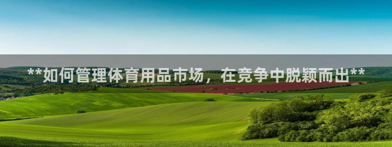 必一体育旧版：**如