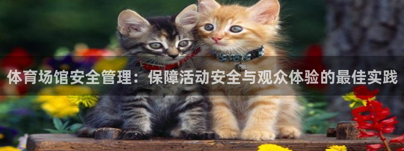 必一运动官网登录入口