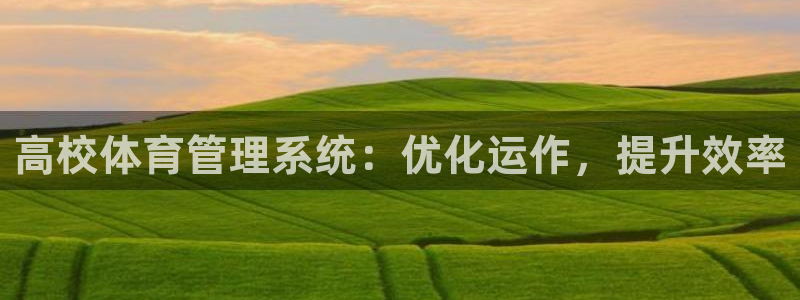 必一体育可靠吗：高校
