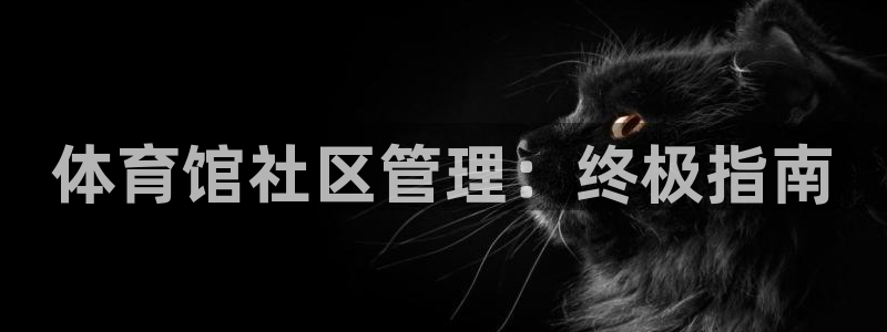 必一体育下载app：