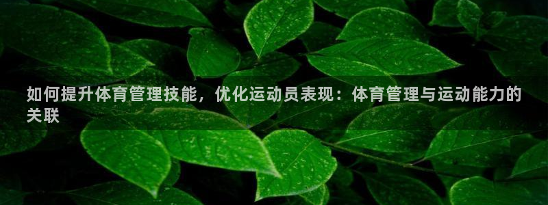 必一体育运动平台官网