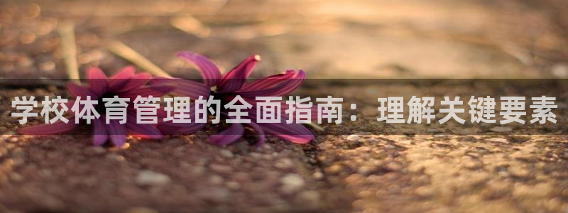 必一体育bsport