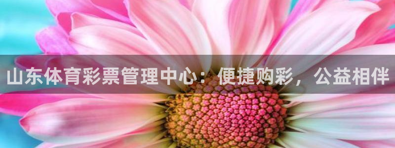 b体育必一运动网页版