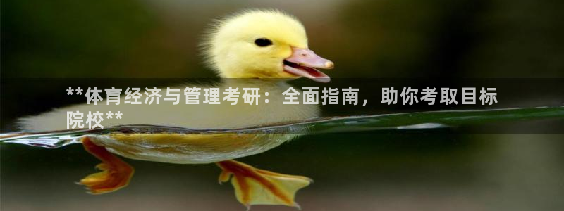 必一体育运动下载：*