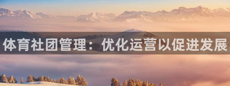 必一运动官网入口：体