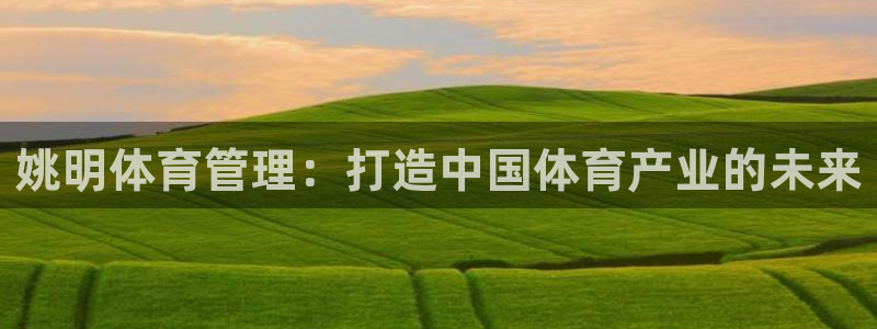 必一体育最新官网入口