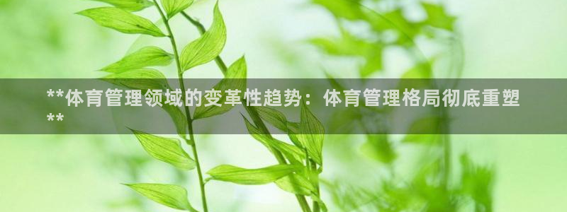 必一体育sport：