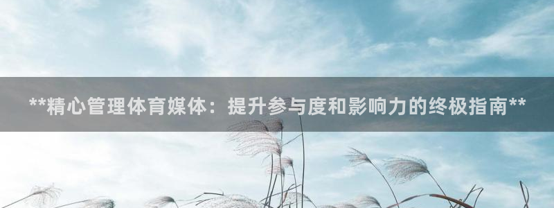 必一运动体：**精心