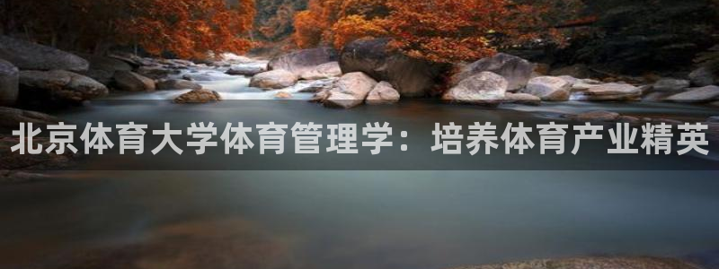 必一运动B-Spor