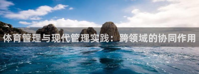 必一体育电子app：