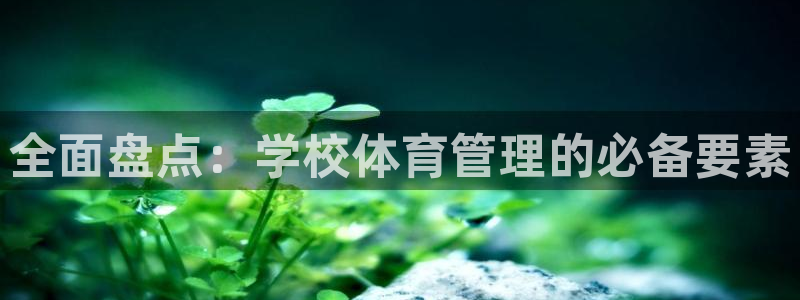 必一体育APP：全面