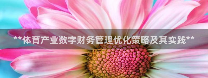 必一体育sport官