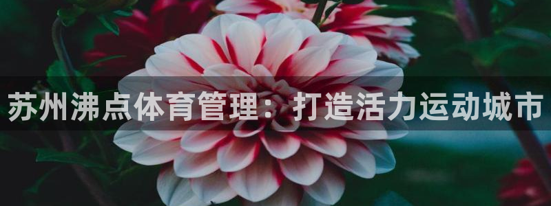 Bsport体育必一