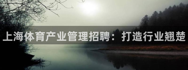 必一体育最新官网入口