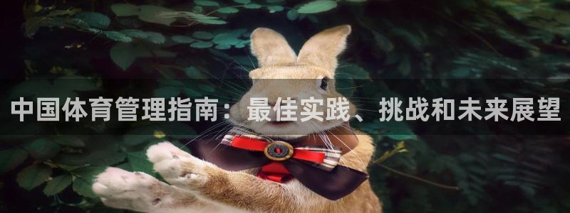 必一体育网页版登录：