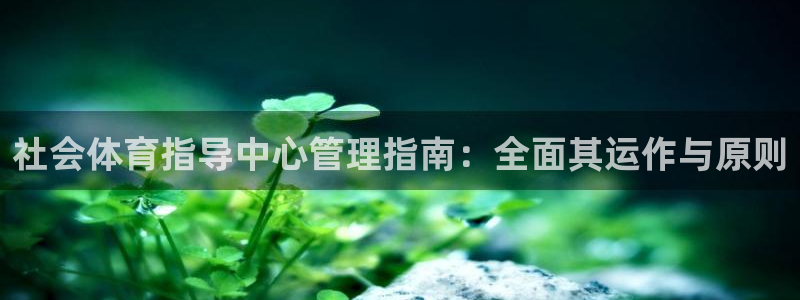 必一体育皮尔斯：社会