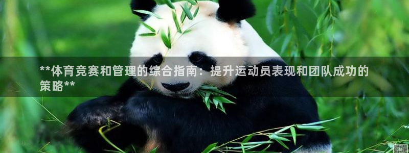 必一体育bsport