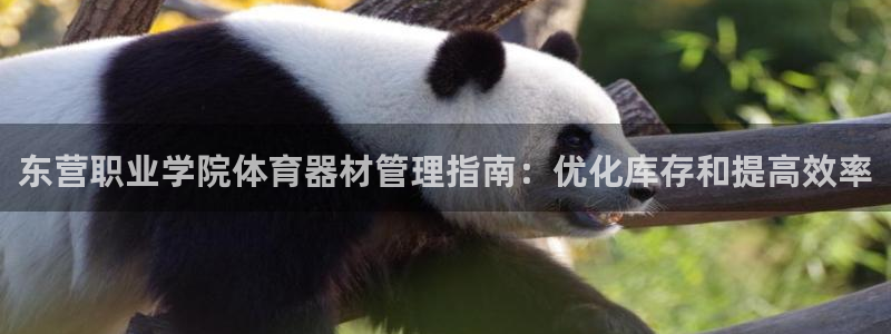 必一运动官网装机吧：