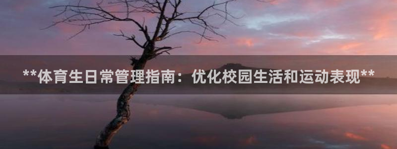 必一体育官方下载：*