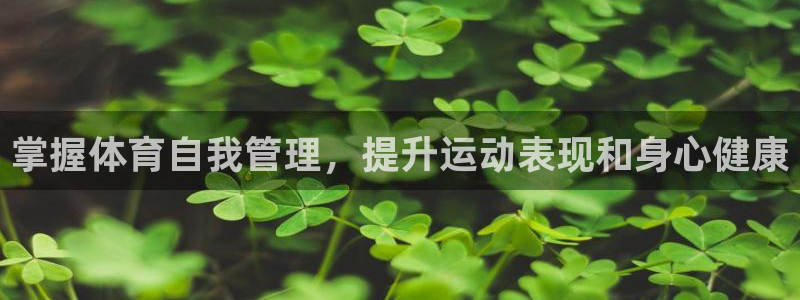 必一体育在线玩：掌握