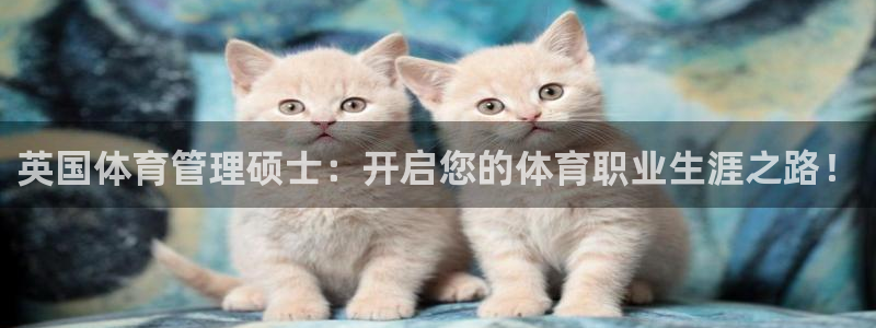 必一体育最新官网入口