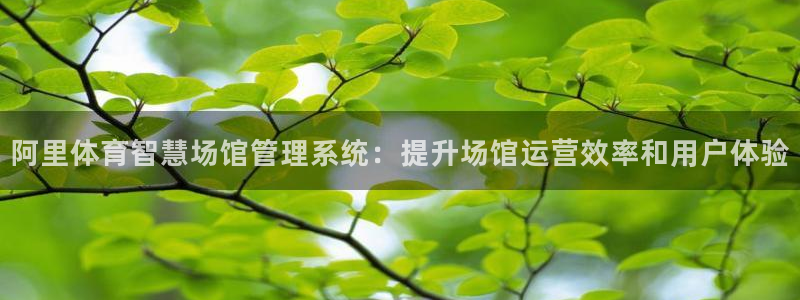 必一运动·(b-sp