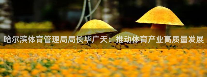必一体育sport网