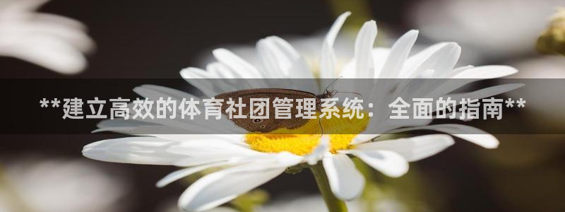 必一体育游戏特色：*