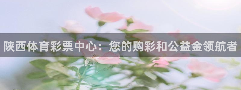必一体育运动官网：陕