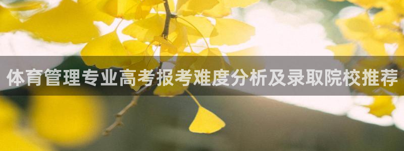 必一运动 b 体育素