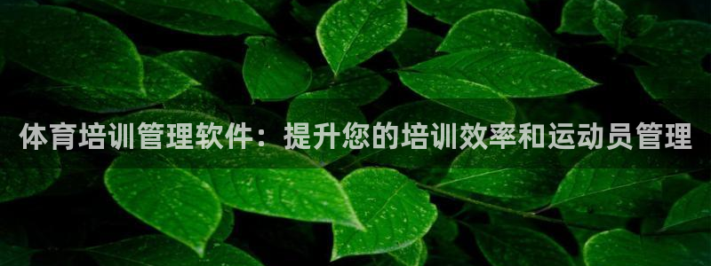 必一体育下载app下