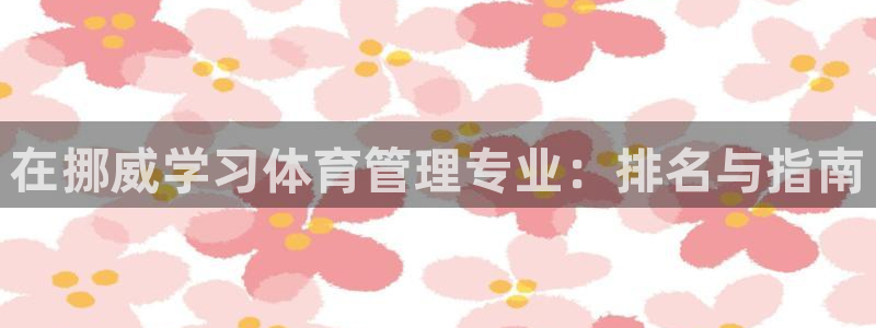 必一体育bsport