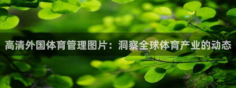 必一体育sportB