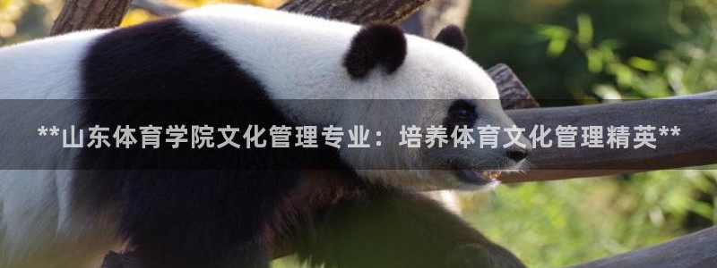 必一体育是啥：**山