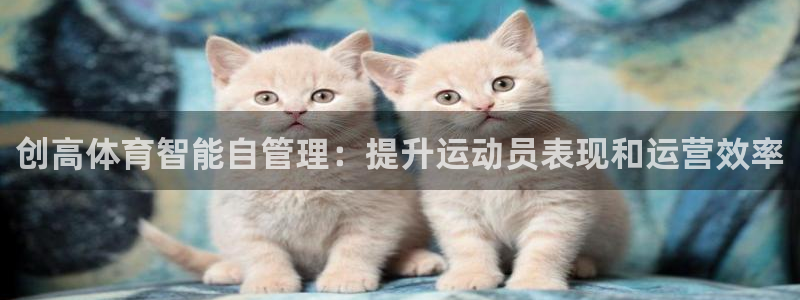 必一体育官方app下