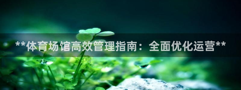 必一体育登录入口：**体育场馆高效管理指南：全面优化运营**