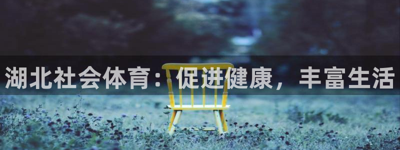 必一体育官方网站入口