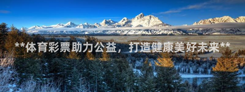 必一运动·体育：**